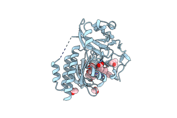 5K5B image
