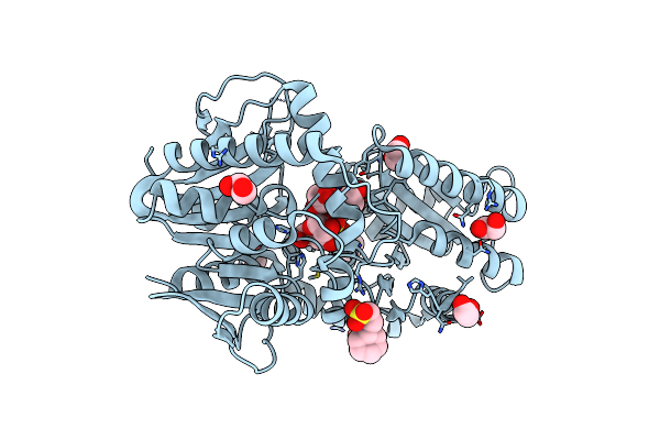 5K5C image