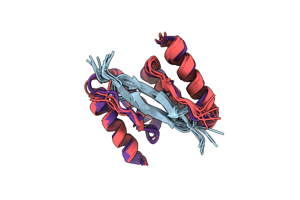 5K5G image