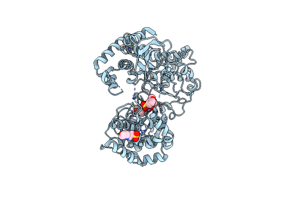 5K5M image