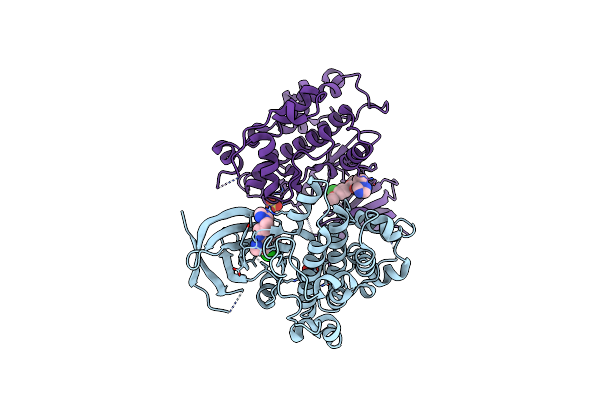 5K5N image