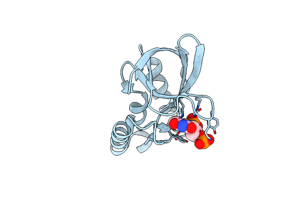 5K5P image