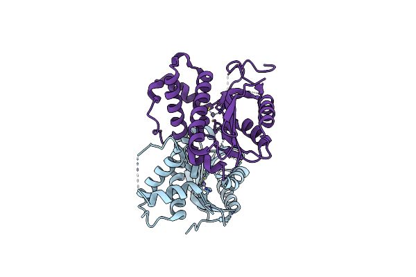 5K5W image