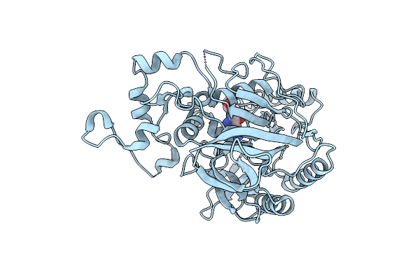 5K63 image