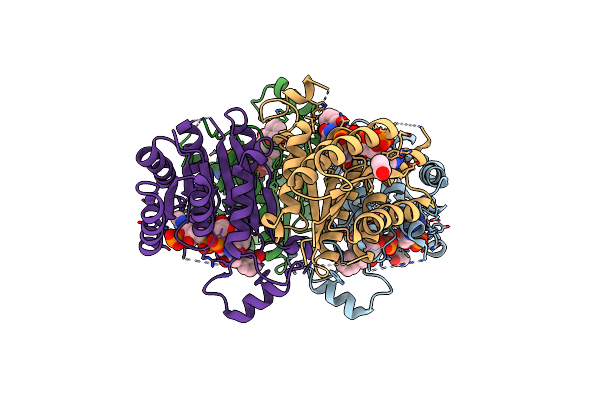 5K6A image