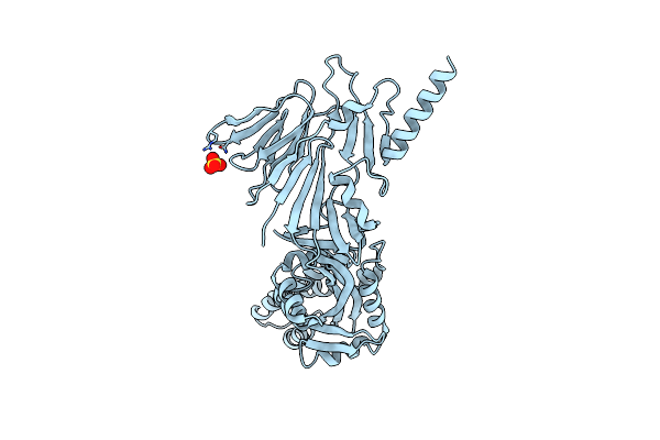 5K6C image