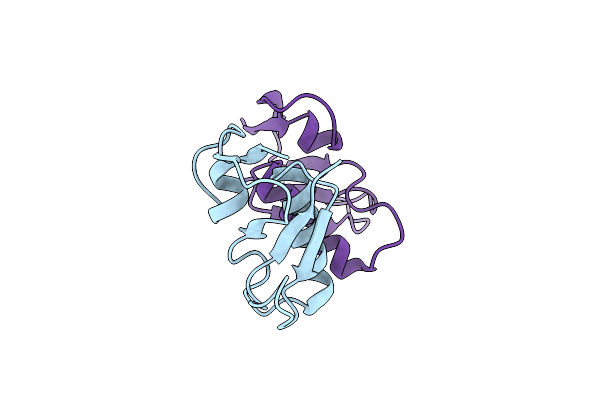 5K6D image