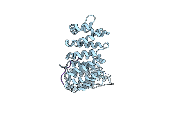 5K6S image