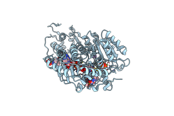 5K6T image