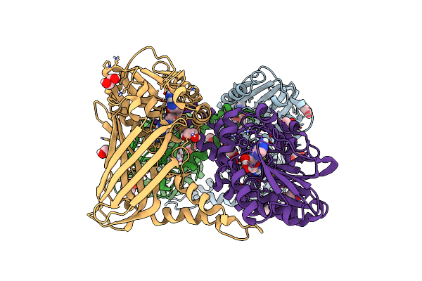 5K8V image