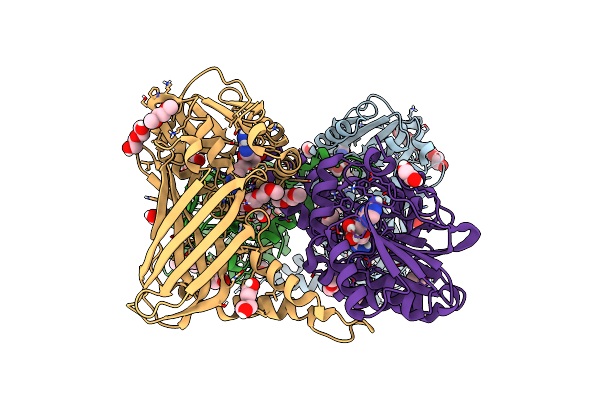 5K8X image