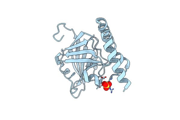 5K9A image