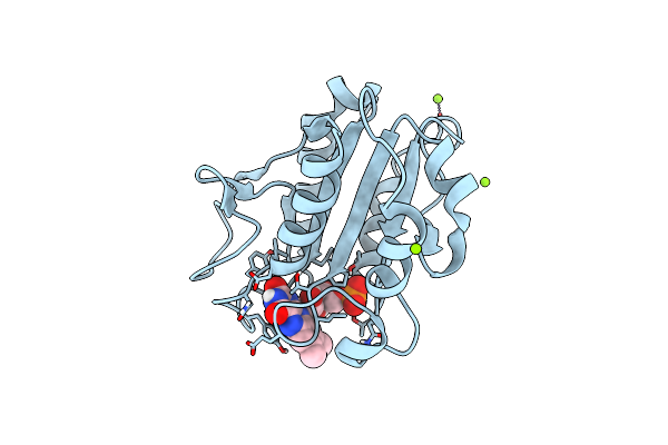 5K9B image