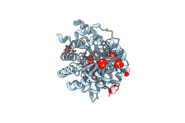 5K9D image