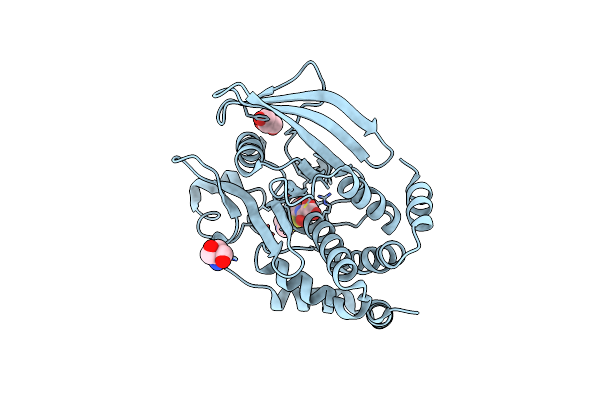 5K9W image