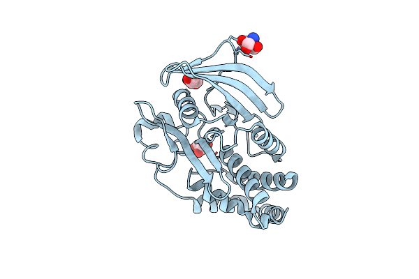 5KAA image