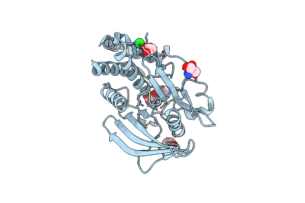 5KAB image