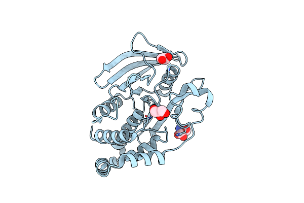 5KAC image
