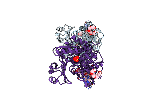 5KB6 image
