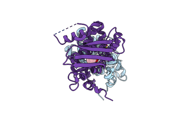 5KBE image