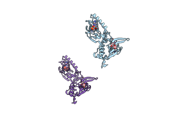 5KBF image