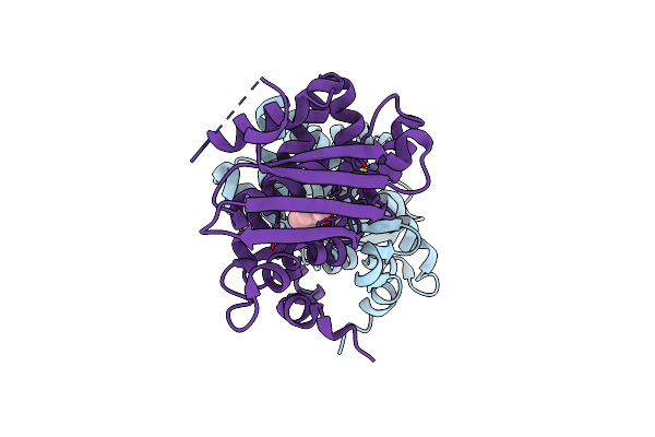 5KBG image