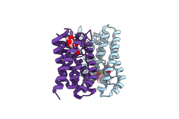5KBW image