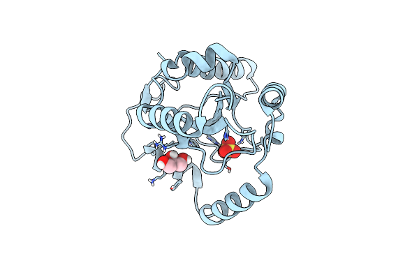 5KCI image
