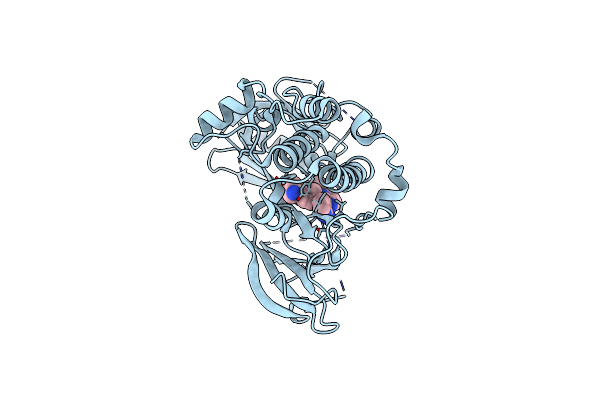 5KCV image