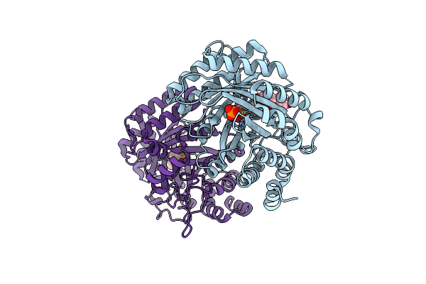 5KDA image