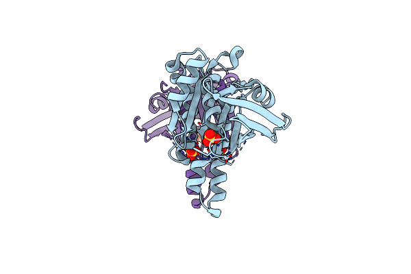 5KDD image