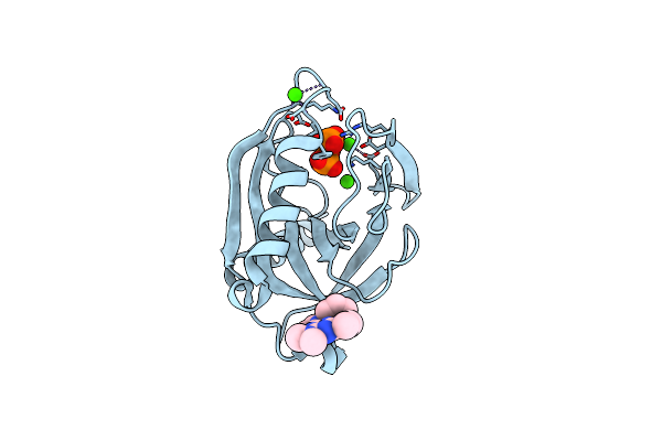 5KDF image