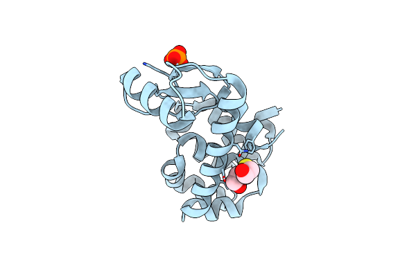 5KII image