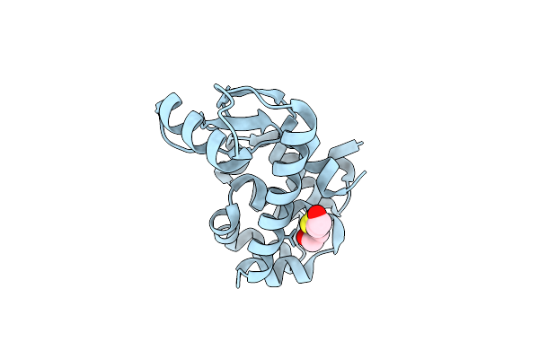 5KIO image