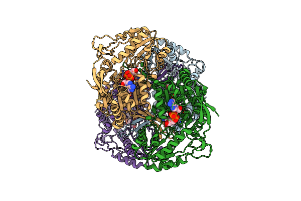 5KJ5 image