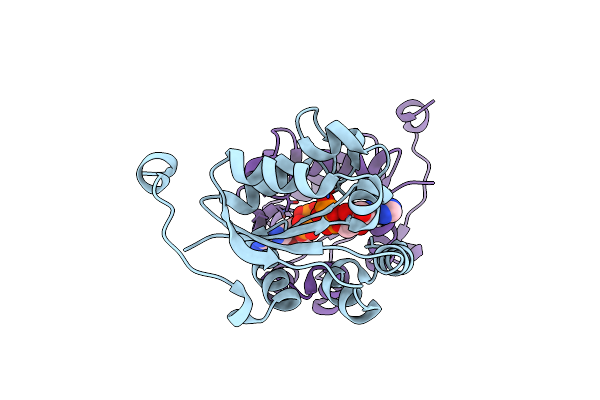 5KK8 image