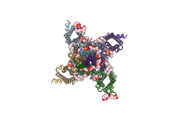 5KLB image