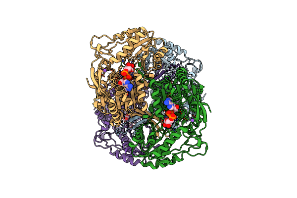 5KLO image