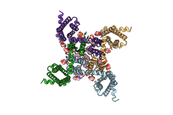 5KMF image