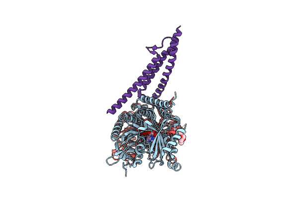 5KMG image
