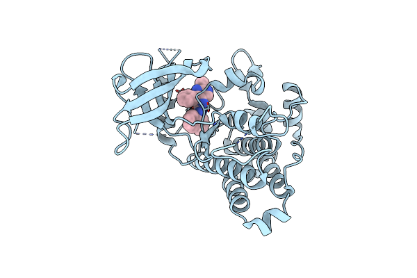 5KMI image