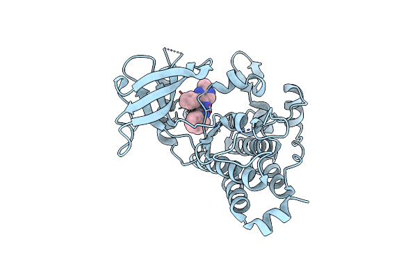 5KMM image