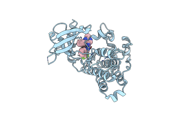 5KMN image