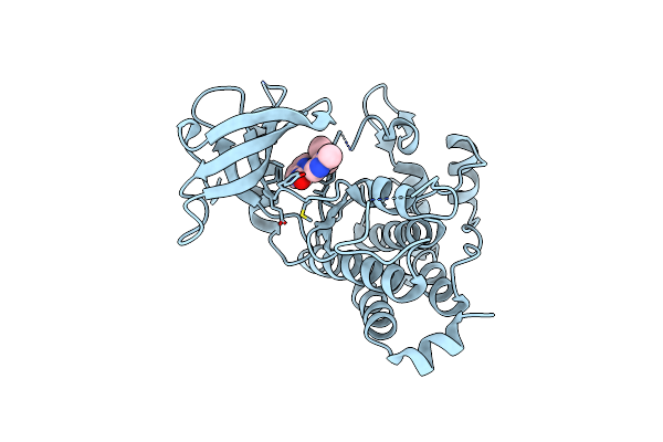 5KMO image