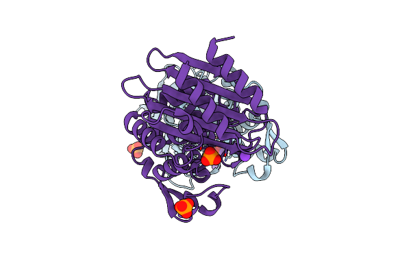 5KMT image