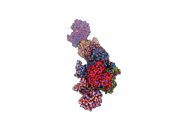 5KNN image