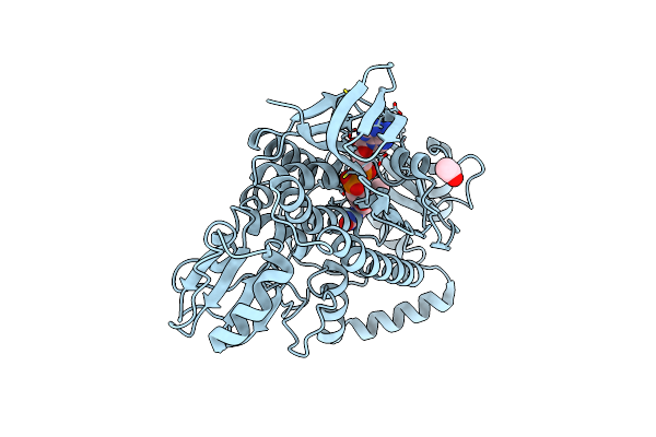 5KOW image