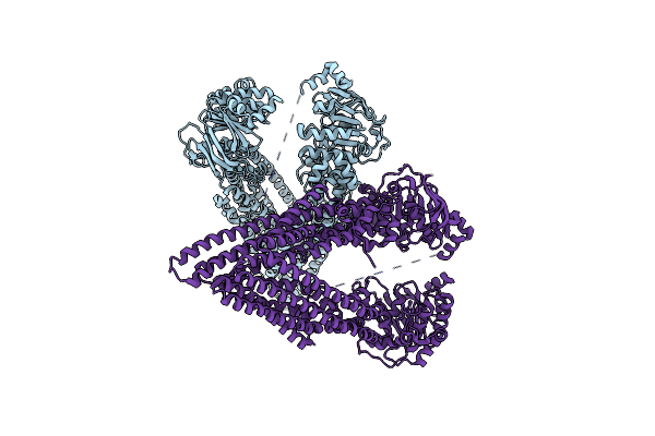 5KPD image