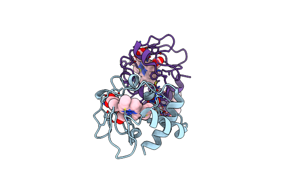 5KPF image