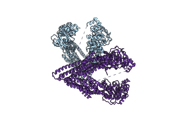 5KPI image